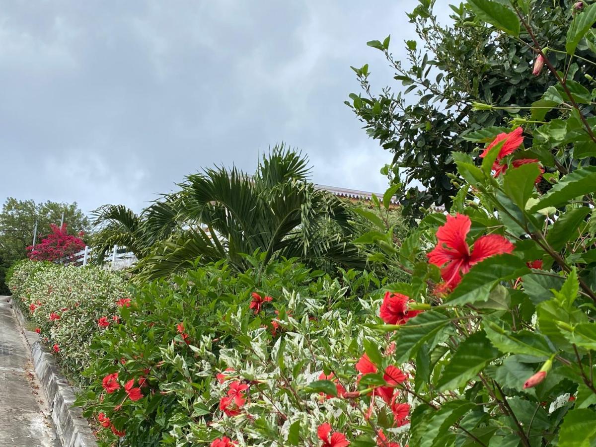 Locations Morne Aux Vents Apartment Fond Boucher Luaran gambar